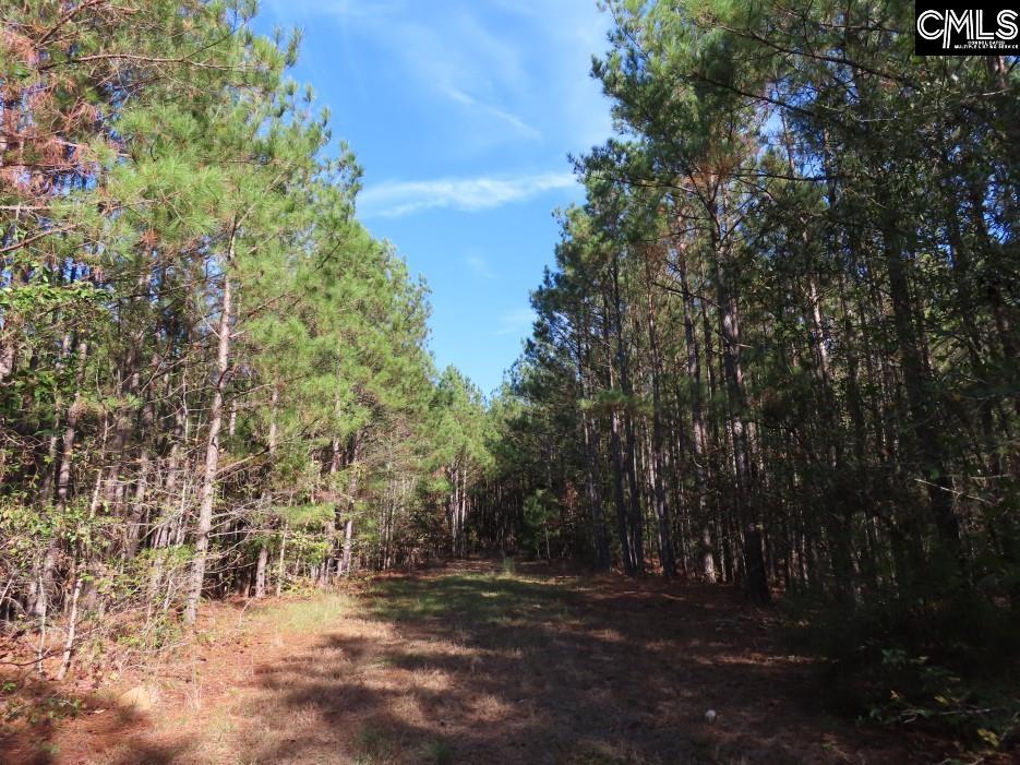 Jefferson Road, Newberry, South Carolina image 49