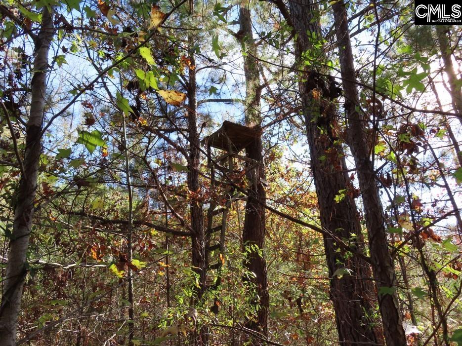 Jefferson Road, Newberry, South Carolina image 50