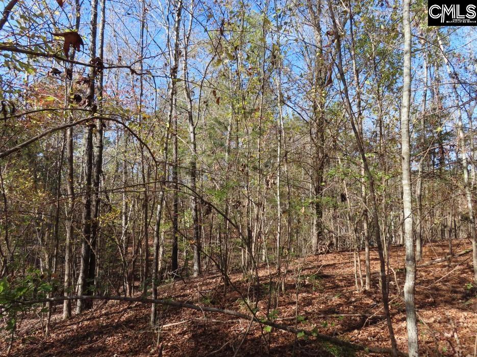 Jefferson Road Newberry, SC 29108