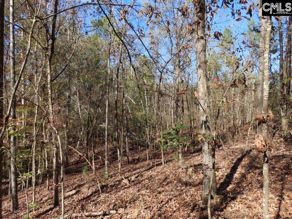 Jefferson Road Newberry, SC 29108