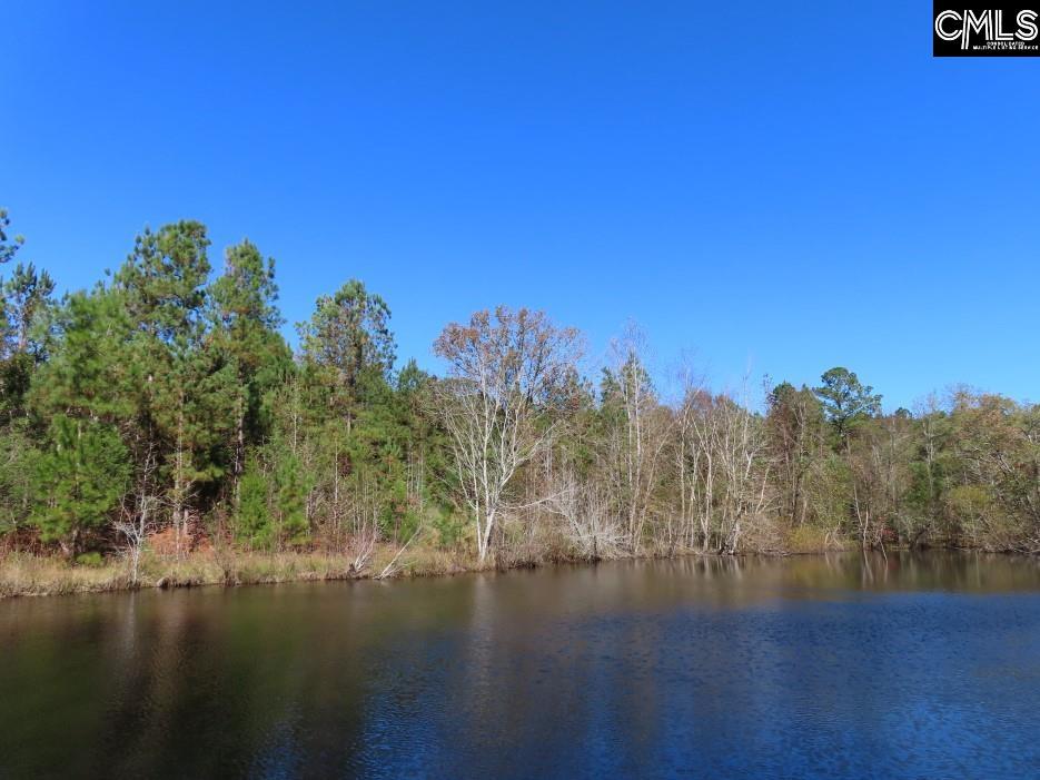 Jefferson Road, Newberry, South Carolina image 7