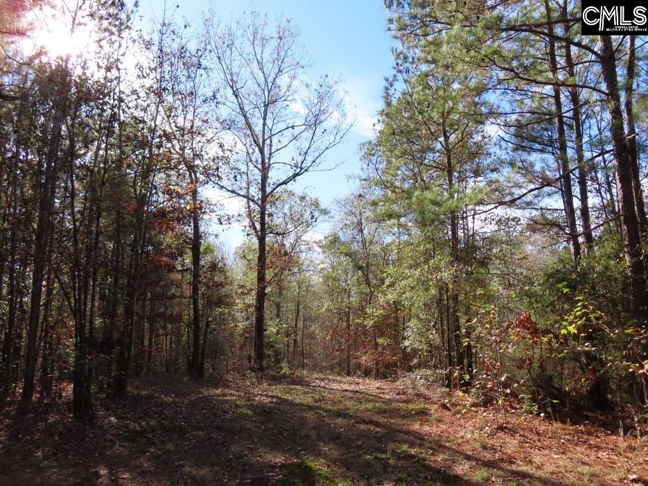Jefferson Road Newberry, SC 29108