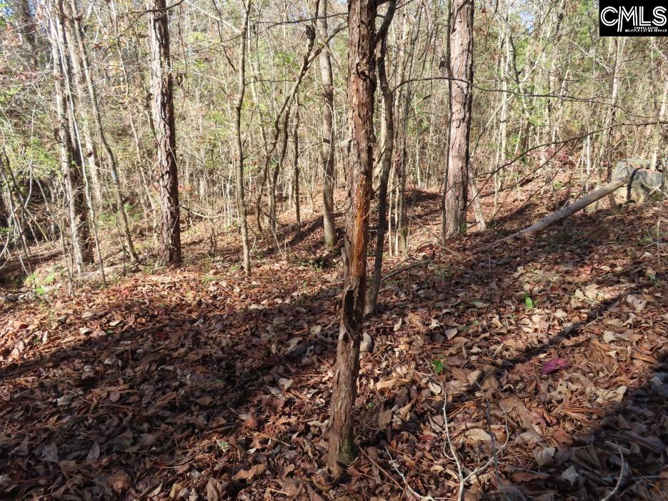 Jefferson Road Newberry, SC 29108