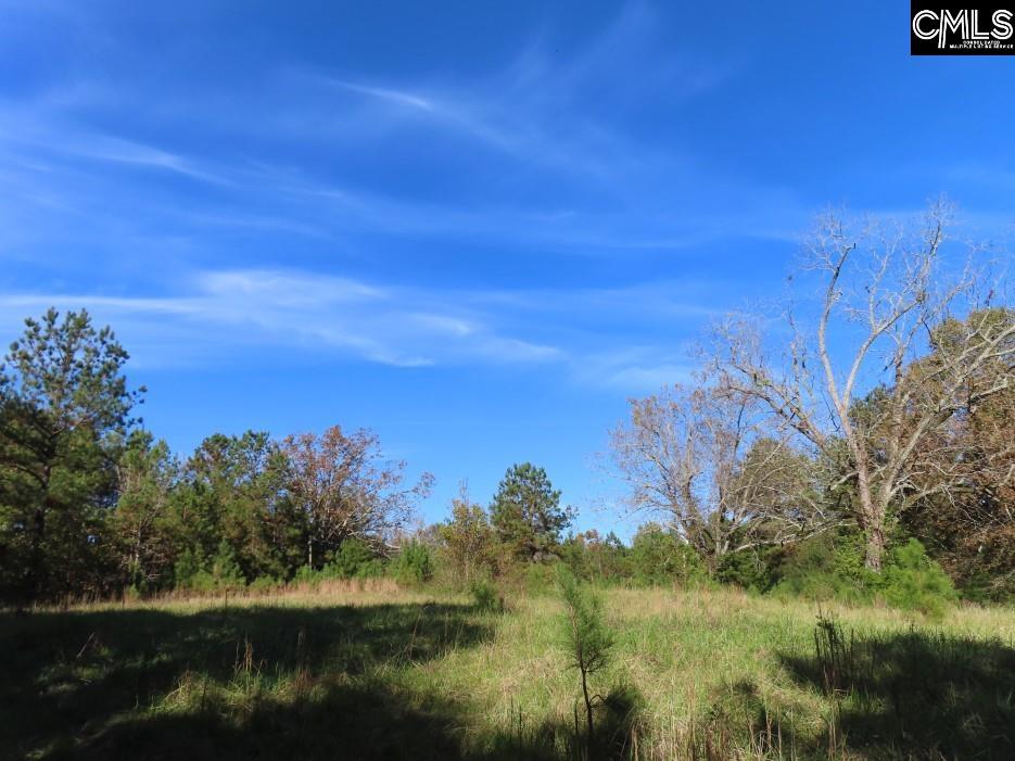 Jefferson Road, Newberry, South Carolina image 9