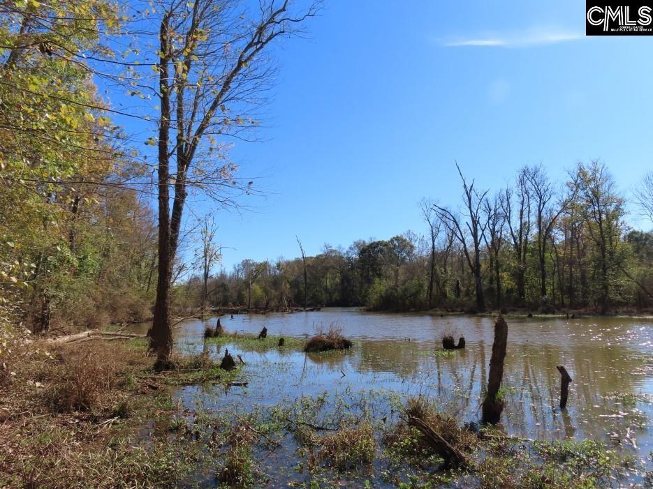 Jefferson Road, Newberry, South Carolina image 10