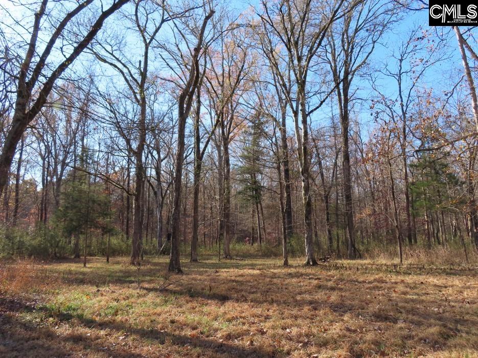 Bull Run Road, Winnsboro, South Carolina image 1