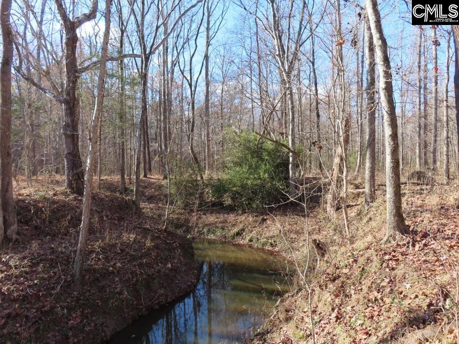 Bull Run Road, Winnsboro, South Carolina image 2