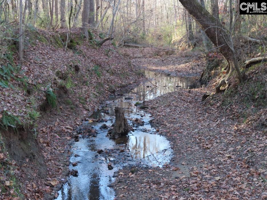 Bull Run Road, Winnsboro, South Carolina image 12