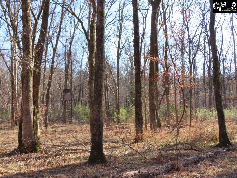 Bull Run Road, Winnsboro, South Carolina image 13