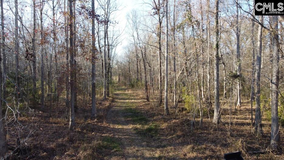 Bull Run Road, Winnsboro, South Carolina image 14