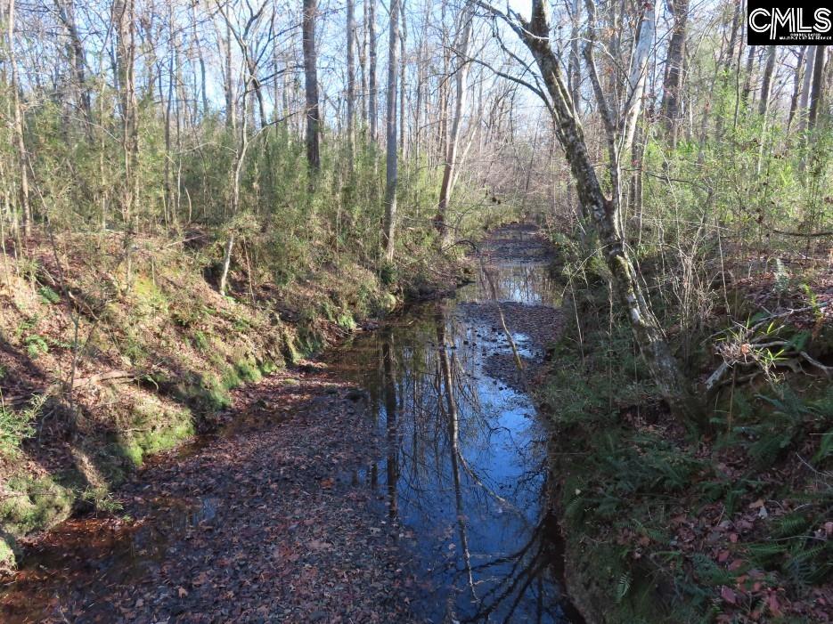 Bull Run Road, Winnsboro, South Carolina image 16