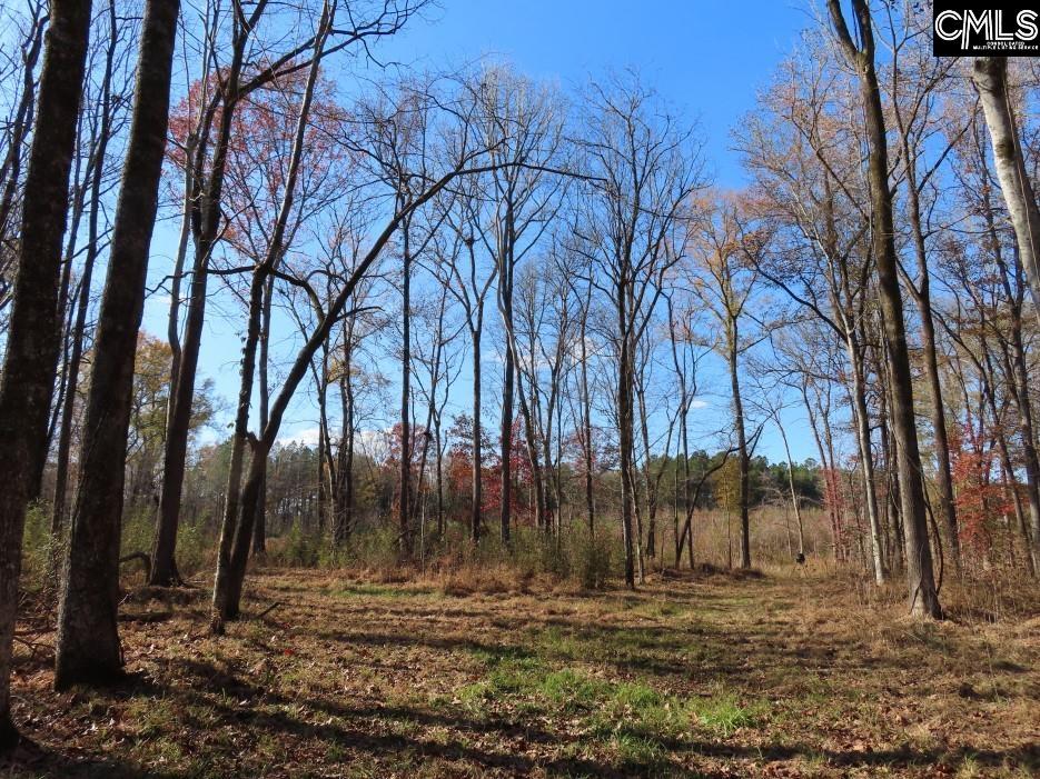 Bull Run Road, Winnsboro, South Carolina image 17
