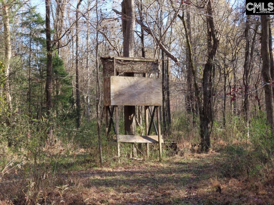Bull Run Road, Winnsboro, South Carolina image 19