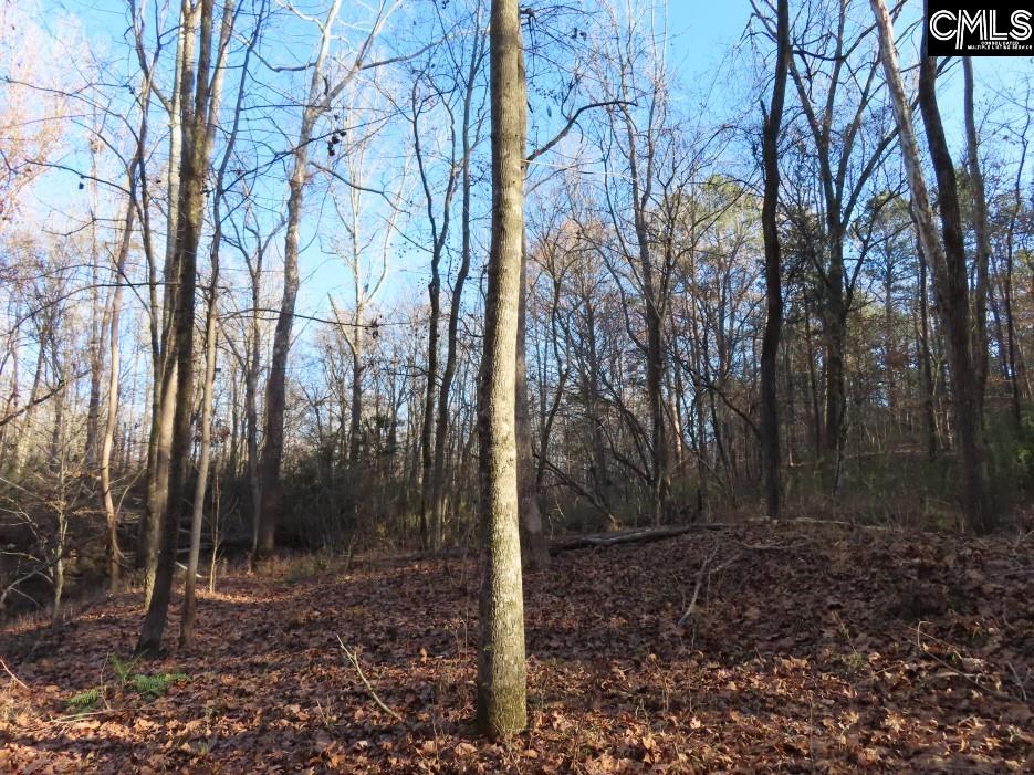 Bull Run Road, Winnsboro, South Carolina image 21