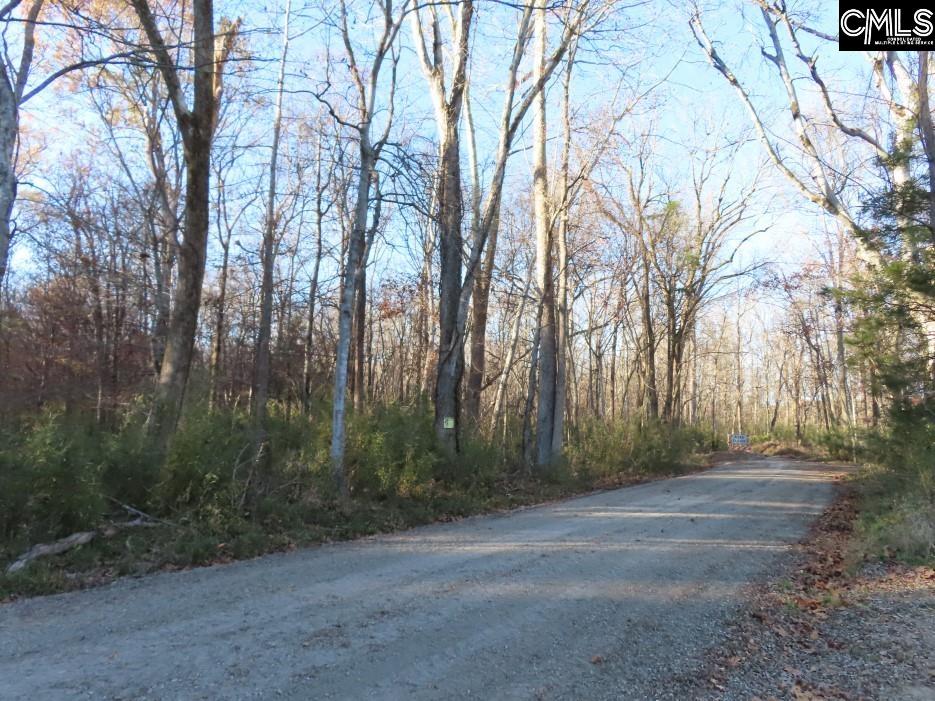 Bull Run Road, Winnsboro, South Carolina image 23