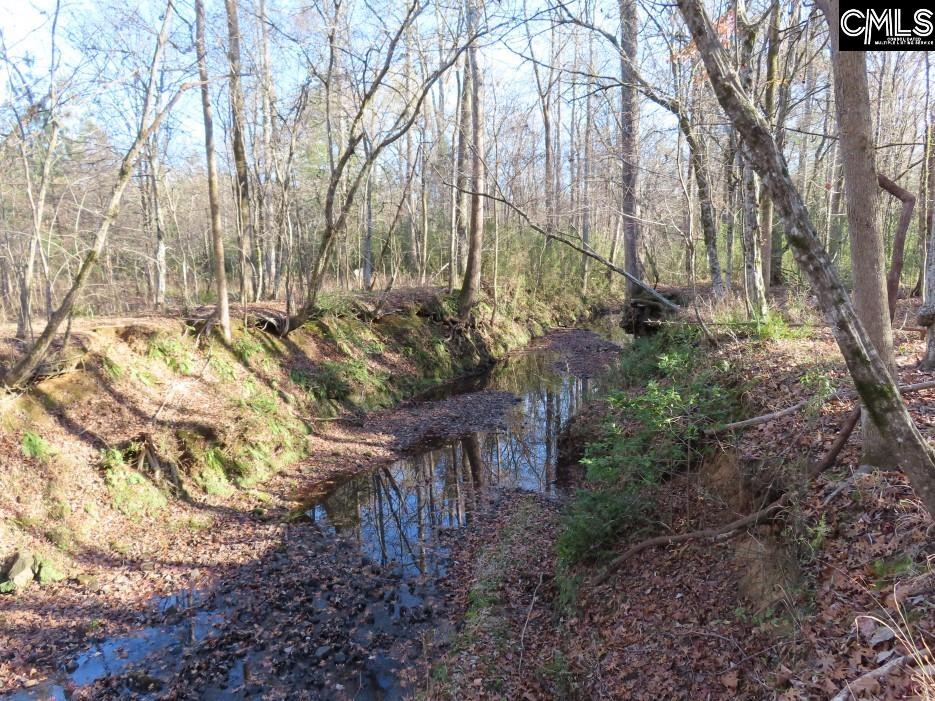 Bull Run Road, Winnsboro, South Carolina image 24