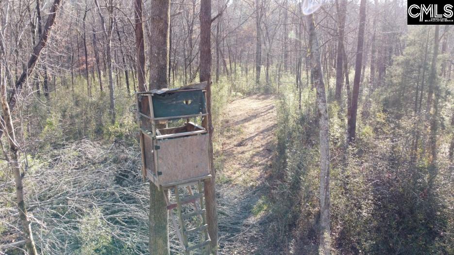 Bull Run Road, Winnsboro, South Carolina image 26