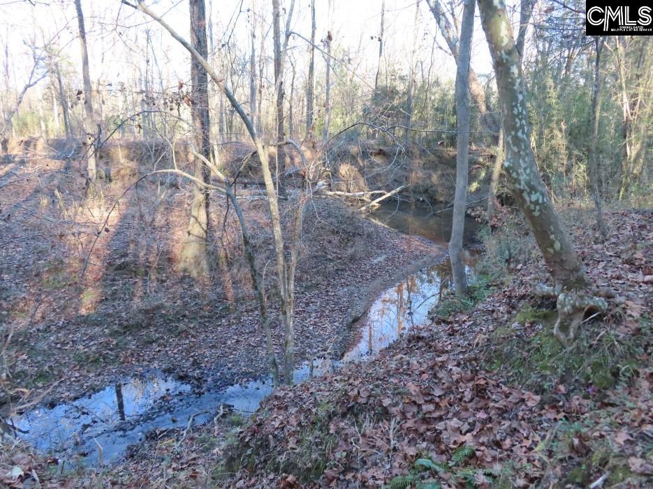 Bull Run Road, Winnsboro, South Carolina image 27