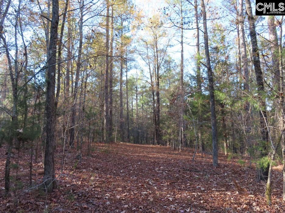 Bull Run Road, Winnsboro, South Carolina image 28
