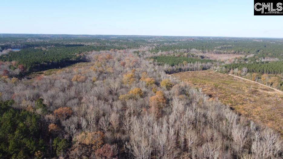 Bull Run Road, Winnsboro, South Carolina image 29