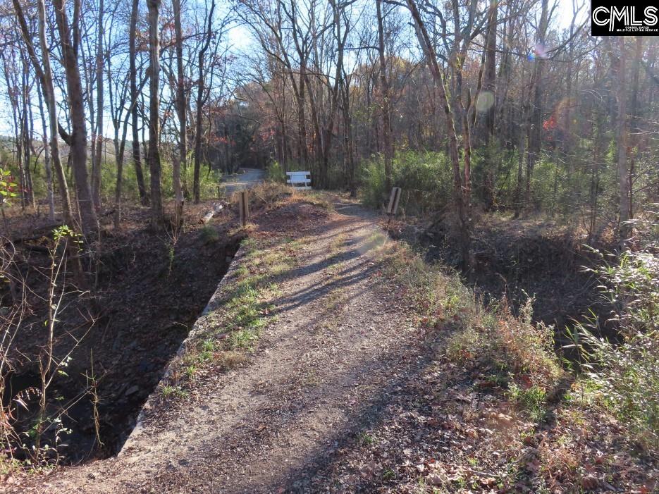 Bull Run Road, Winnsboro, South Carolina image 4