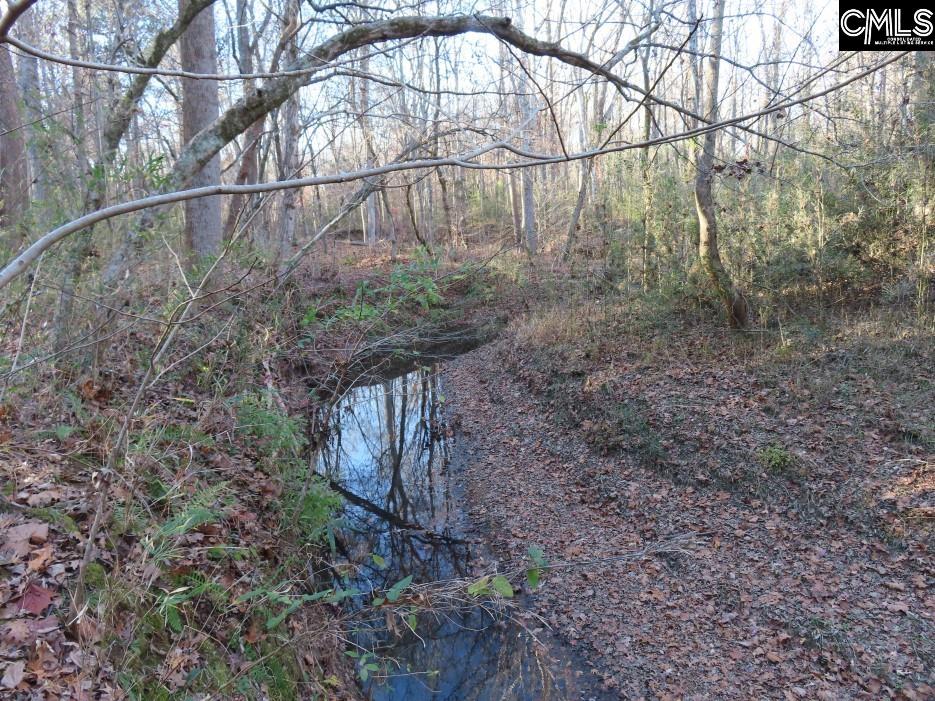 Bull Run Road, Winnsboro, South Carolina image 31