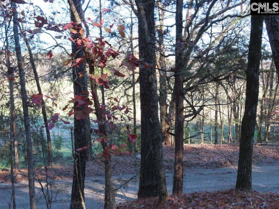 Bull Run Road, Winnsboro, South Carolina image 32