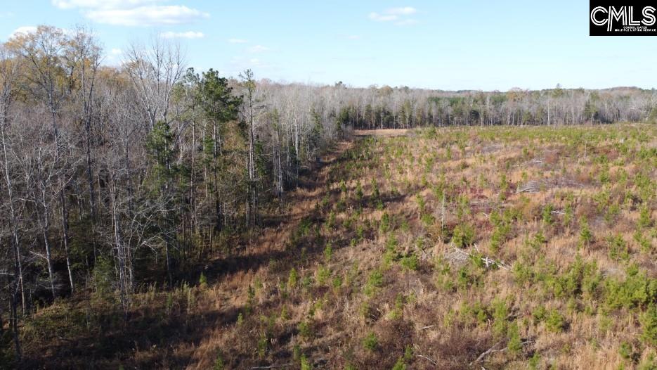 Bull Run Road, Winnsboro, South Carolina image 33