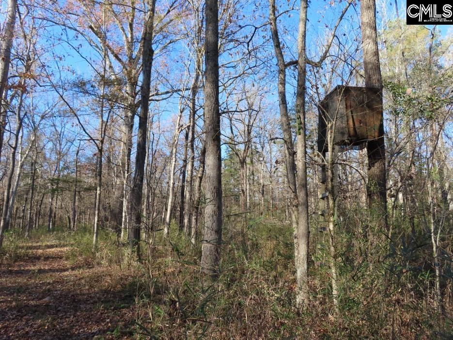 Bull Run Road, Winnsboro, South Carolina image 34