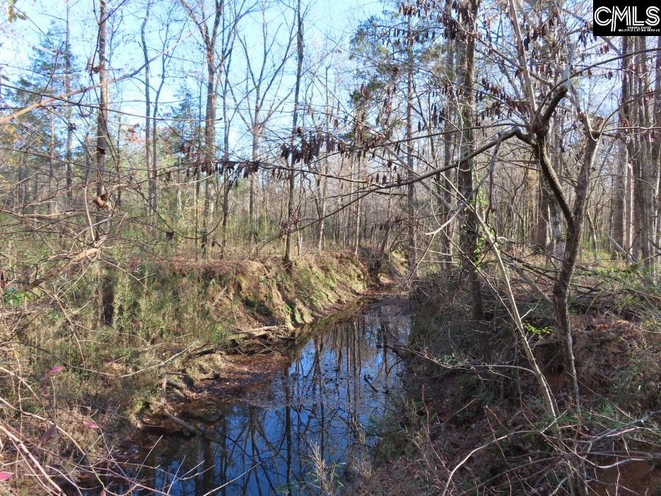 Bull Run Road, Winnsboro, South Carolina image 35
