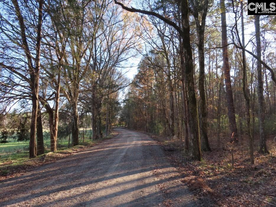 Bull Run Road, Winnsboro, South Carolina image 38