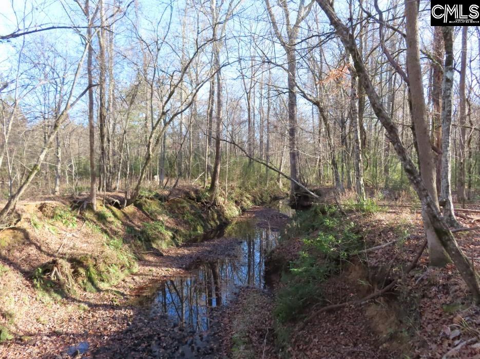 Bull Run Road, Winnsboro, South Carolina image 39