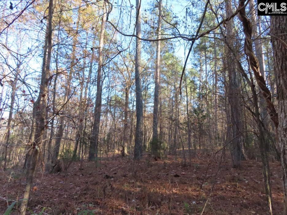 Bull Run Road, Winnsboro, South Carolina image 40