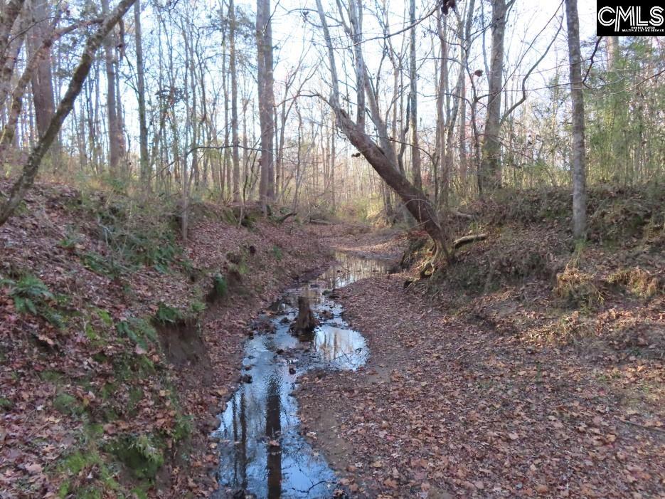 Bull Run Road, Winnsboro, South Carolina image 43