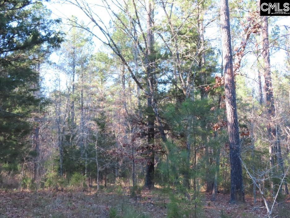 Bull Run Road, Winnsboro, South Carolina image 44