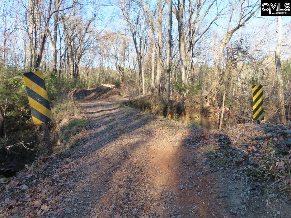 Bull Run Road, Winnsboro, South Carolina image 45