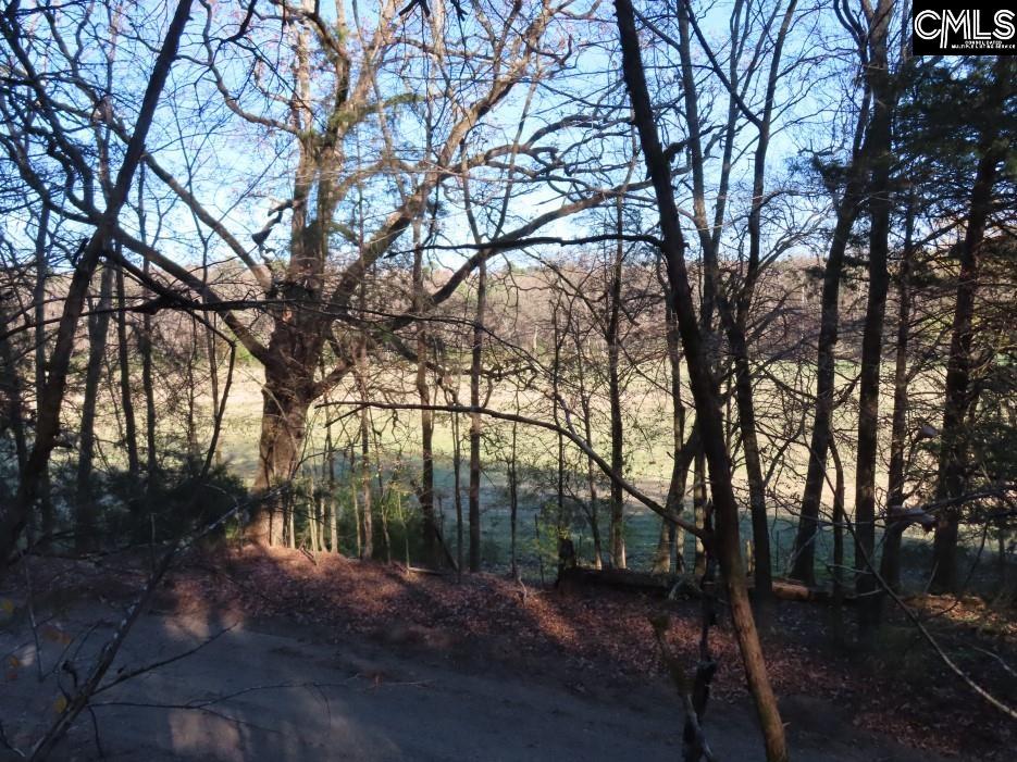 Bull Run Road, Winnsboro, South Carolina image 46