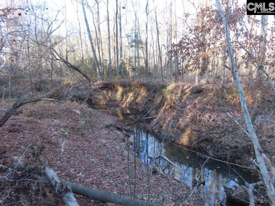 Bull Run Road, Winnsboro, South Carolina image 47