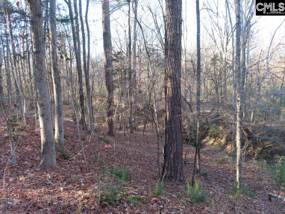 Bull Run Road, Winnsboro, South Carolina image 48