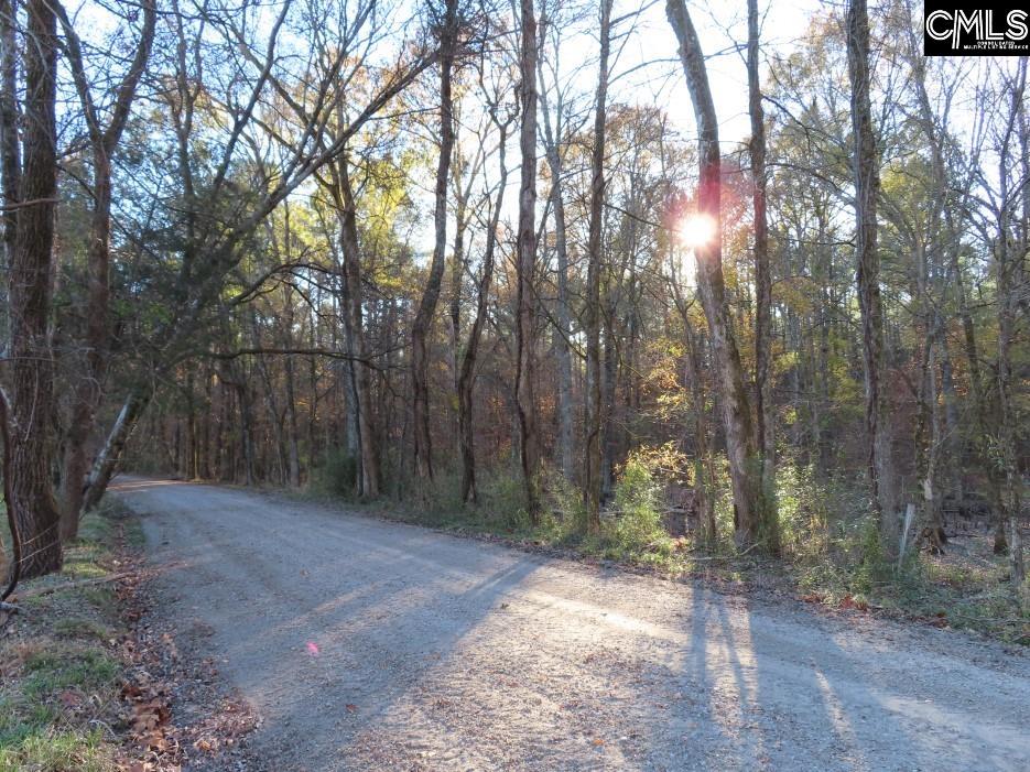 Bull Run Road, Winnsboro, South Carolina image 49