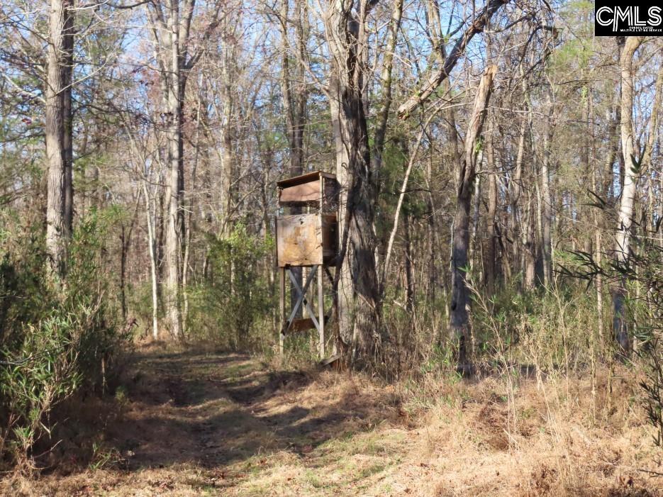 Bull Run Road, Winnsboro, South Carolina image 50