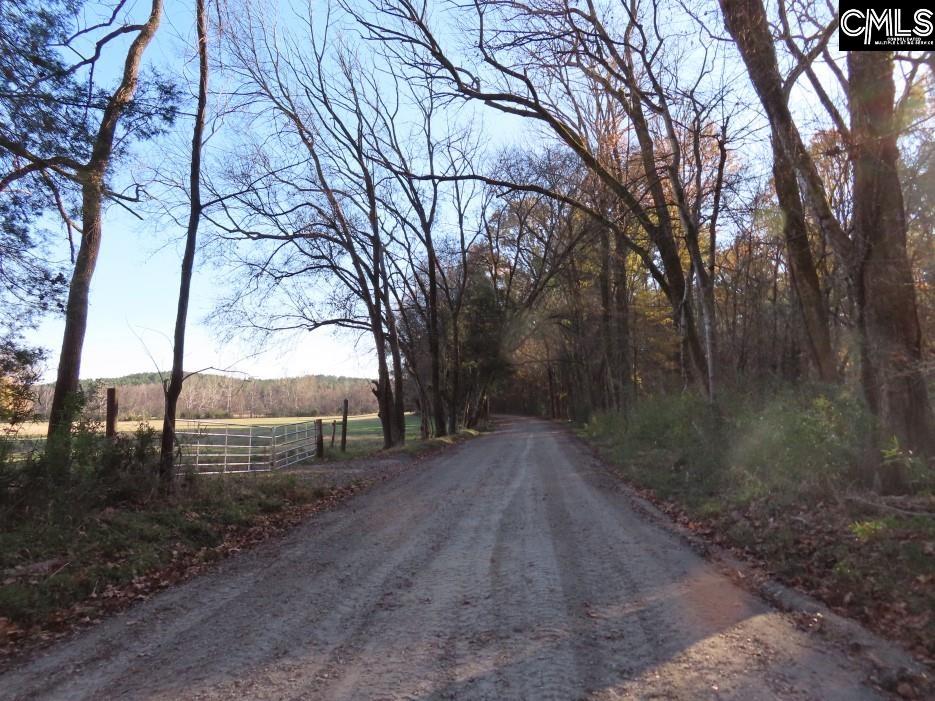Bull Run Road, Winnsboro, South Carolina image 6