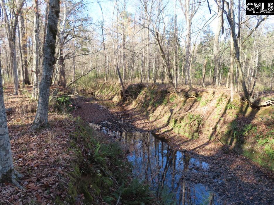 Bull Run Road, Winnsboro, South Carolina image 8
