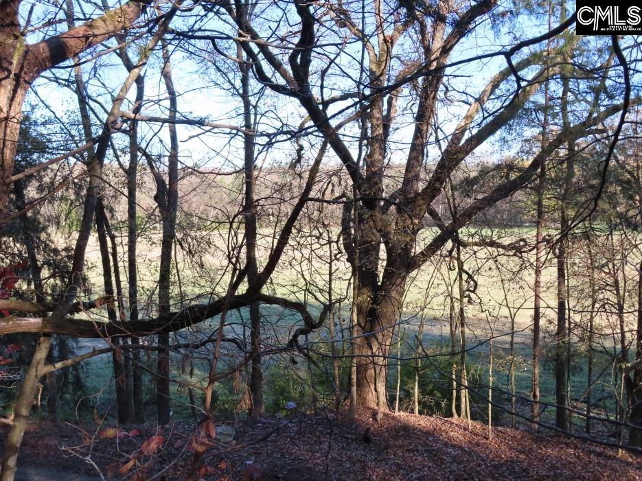 Bull Run Road, Winnsboro, South Carolina image 9