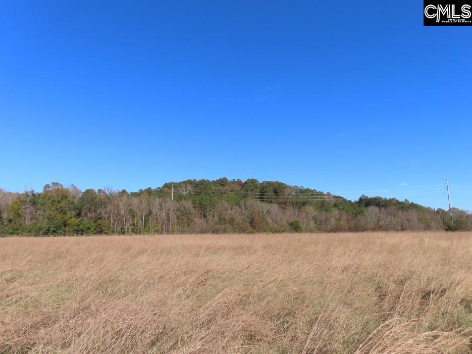 Alston Road Jenkinsville, SC 29065