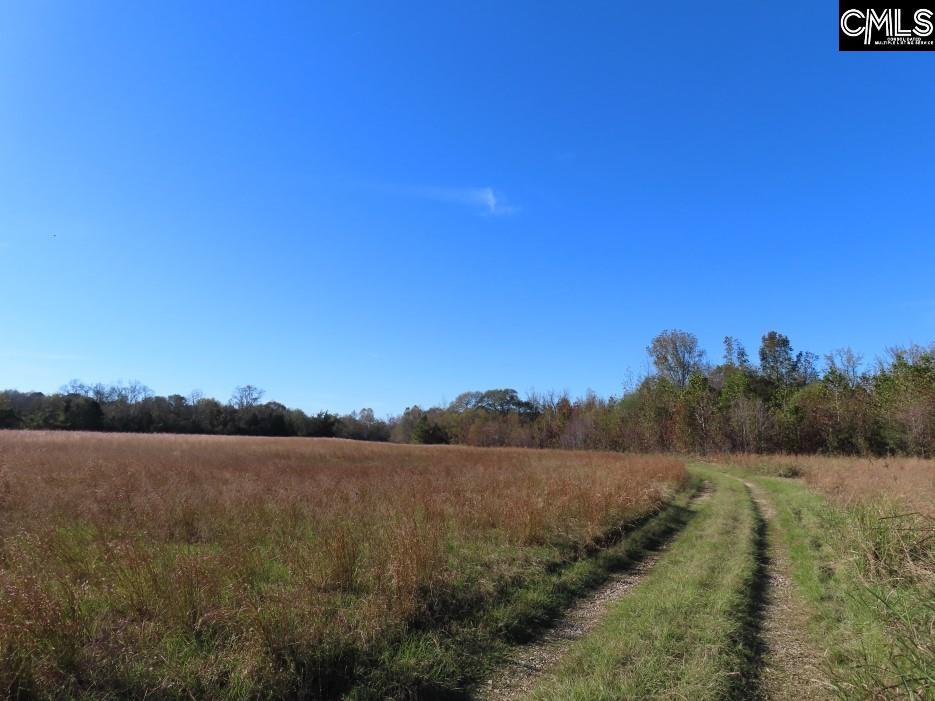 Alston Road Jenkinsville, SC 29065