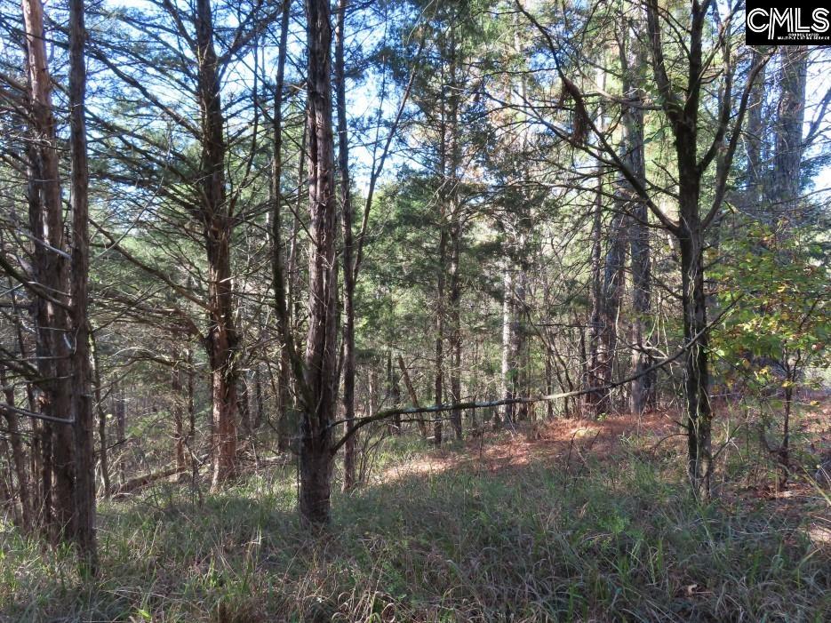 Alston Road Jenkinsville, SC 29065