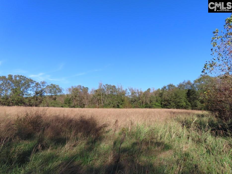 Alston Road Jenkinsville, SC 29065