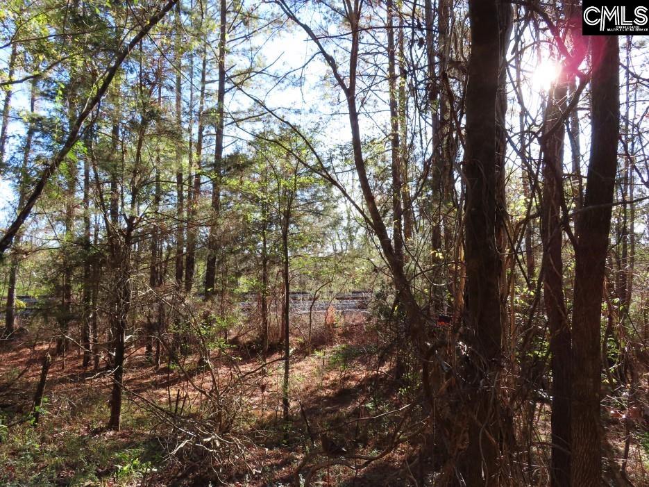 Alston Road Jenkinsville, SC 29065