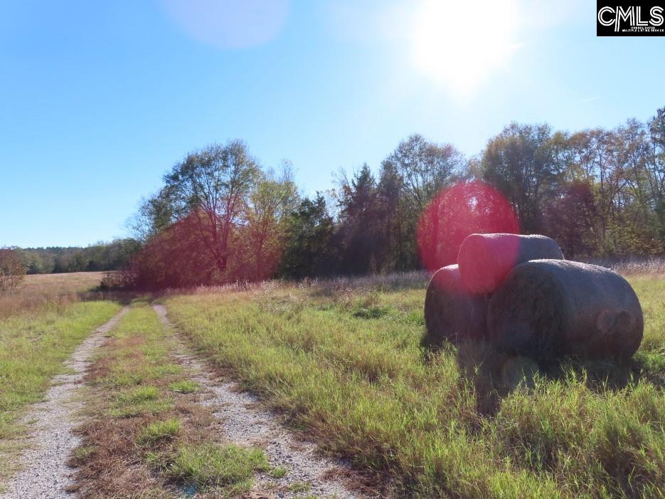 Alston Road Jenkinsville, SC 29065